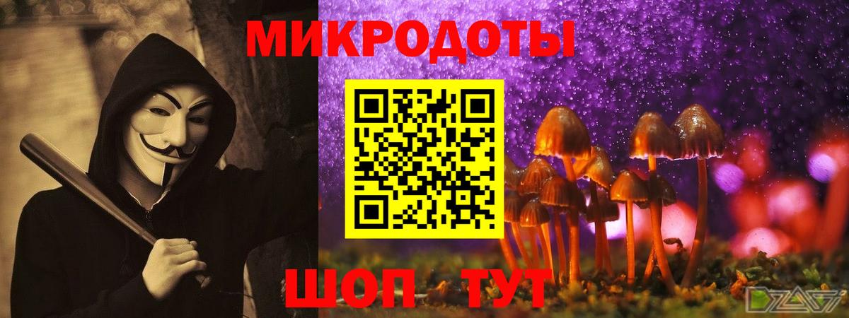 Галлюциногенные грибы Psilocybine cubensis Гусев